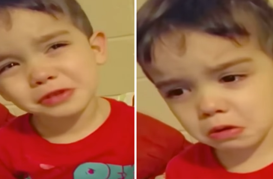 Toddler refuses to eat his dinner for reasons every mom wishes to hear