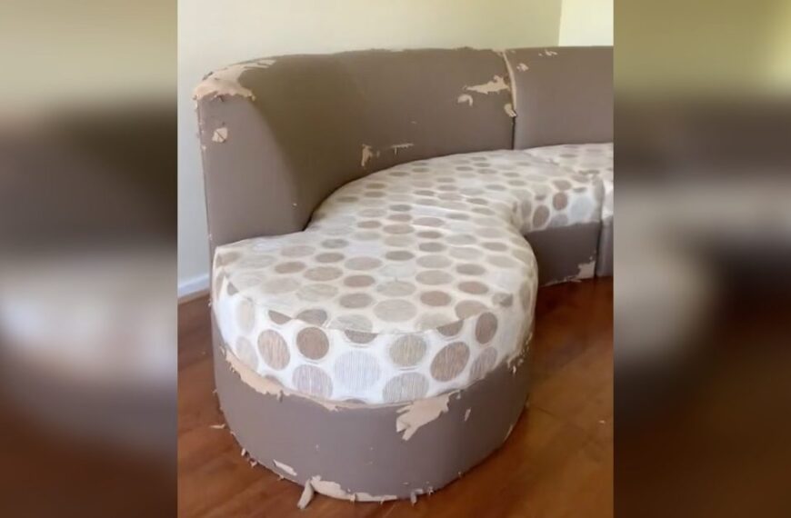 Woman buys a tattered up couch and uses blankets to give it an incredible, chic new look
