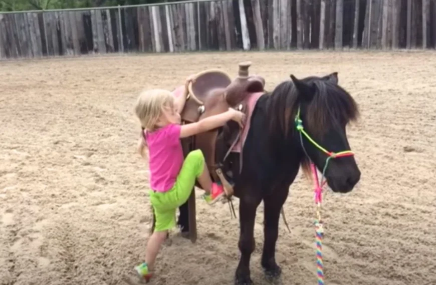 Little girl shows off incredible ‘trick-riding’ skills on pony