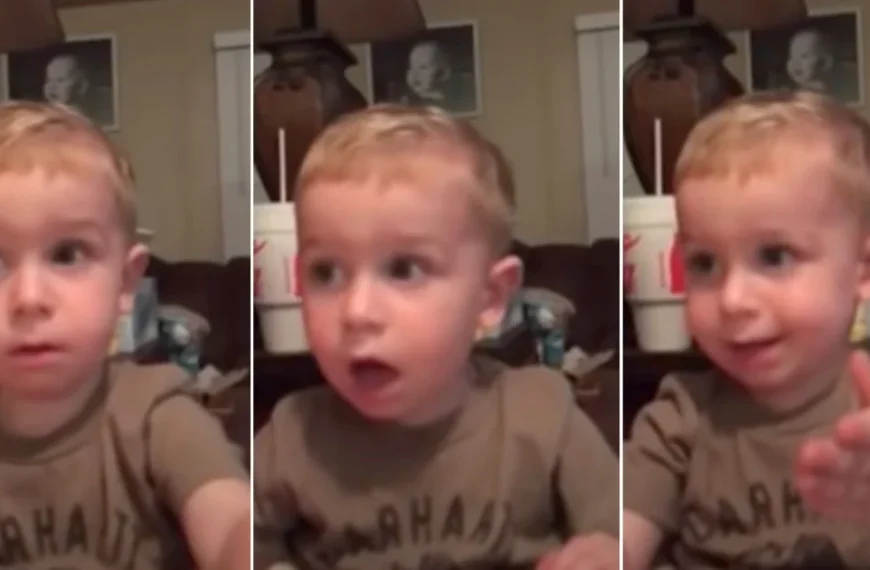 Little Boy Tells Story About Cow With The Cutest Southern Accent