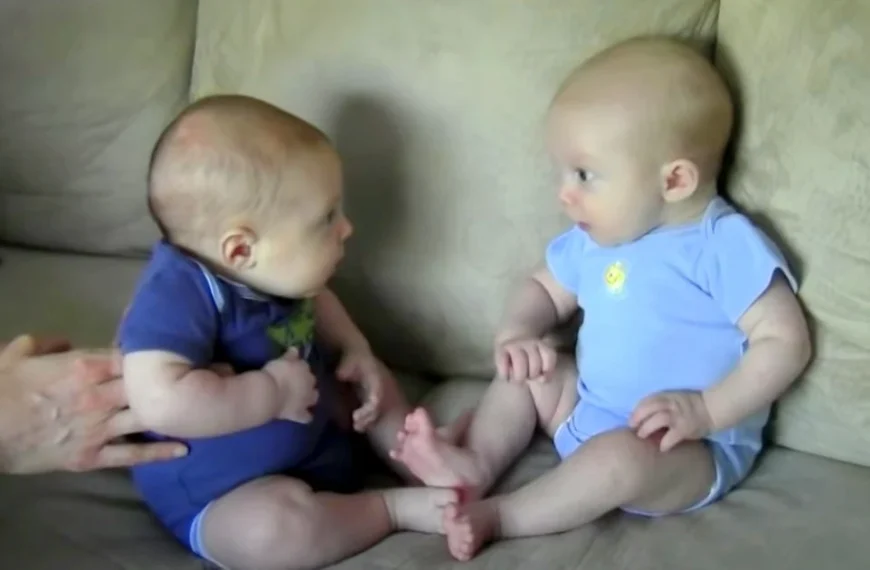 Twins Notice Each Other For The First Time And Break Cute-O-Meter